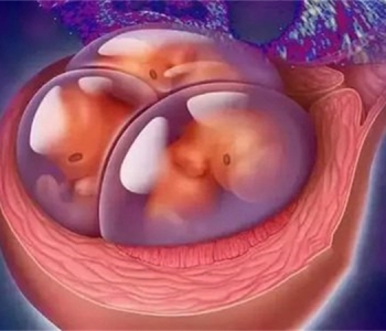 3岁珠海捐卵宝宝营养不良的标准 孩子营养问题关乎千万人的心
